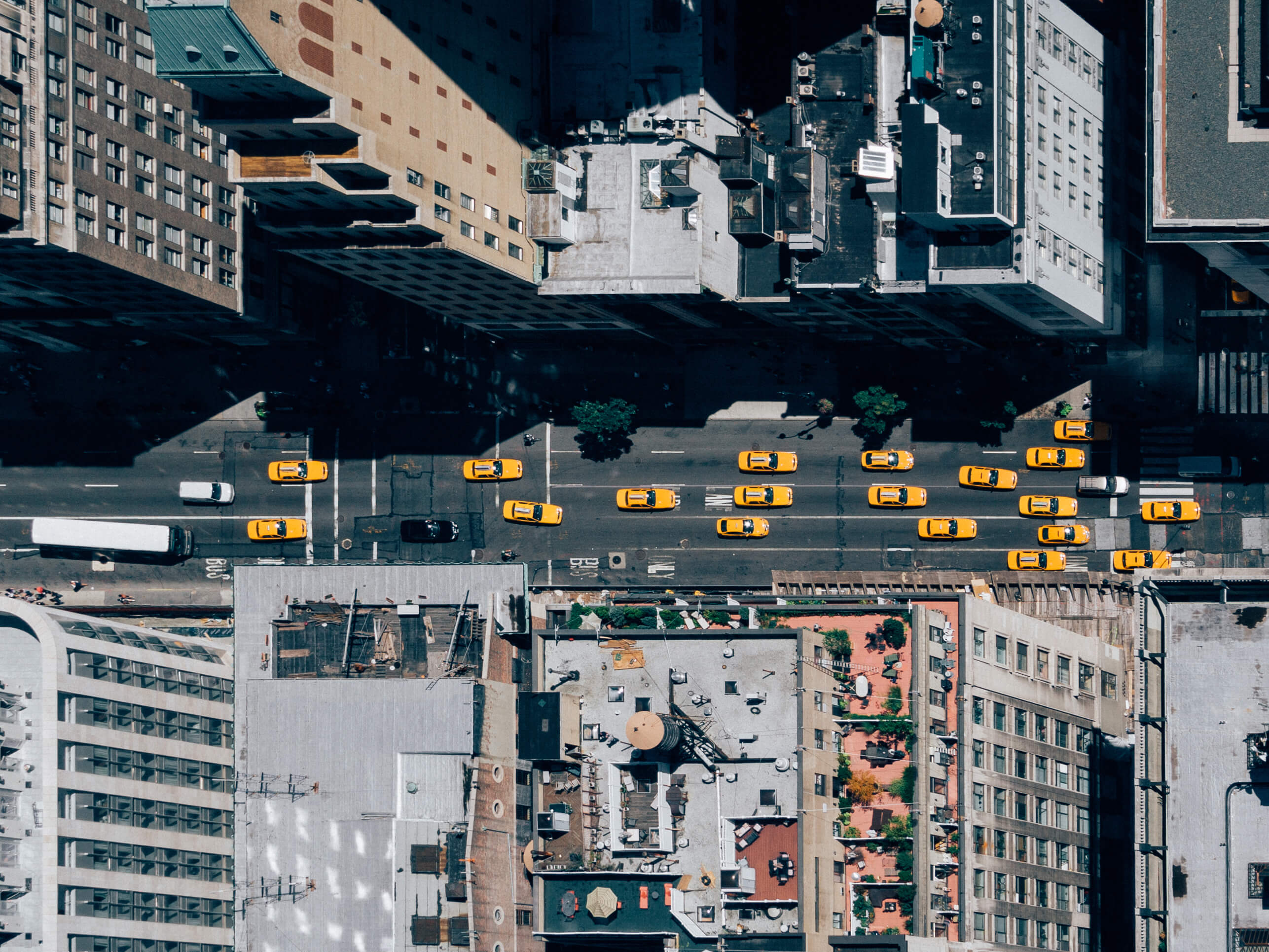 Top-down view of taxi cabs on city street